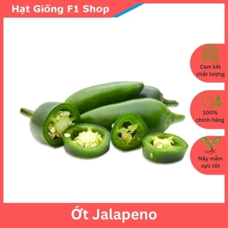 Hạt Giống Ớt Jalapeno Chịu Nhiệt Sai Trái Thịt Dày (20H) (237.F1)