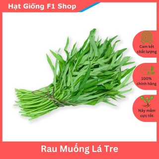 Hạt Giống Rau Muống Lá Tre Thái Lan Dễ Trồng