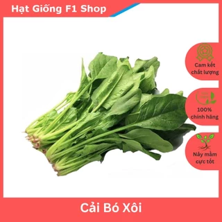 Hạt Giống Cải Bó Xôi Chịu Nhiệt - Gói 20 Gam