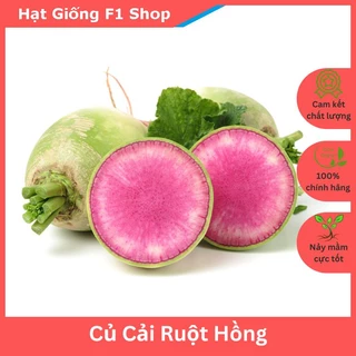 Hạt Giống Củ Cải Ruột Hồng Củ Tròn Đều (111.F1)