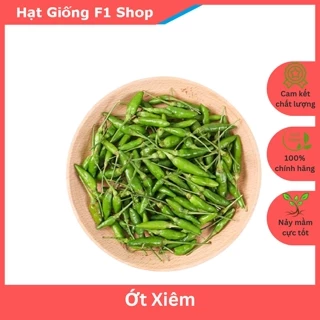 Hạt Giống Ớt Xiêm Cay Thơm