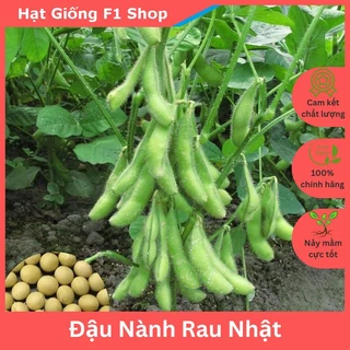 Hạt Giống Đậu Nành Rau Nhật Bản Thơm Ngon (235.F1)