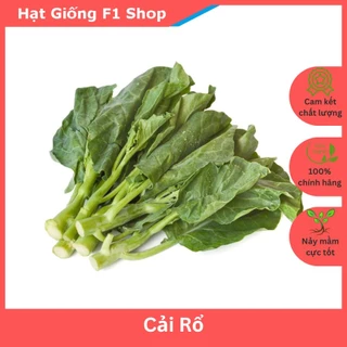 Hạt Giống Rau Cải Rổ Năng Suất Cao