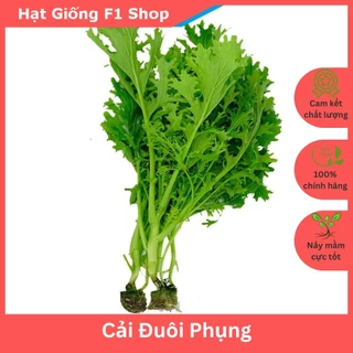 Hạt Giống Cải Đuôi Phụng 10 Gam Dễ Trồng