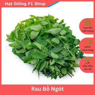 Hạt Giống Rau Bồ Ngót Phân Nhánh Tốt 1 Gam