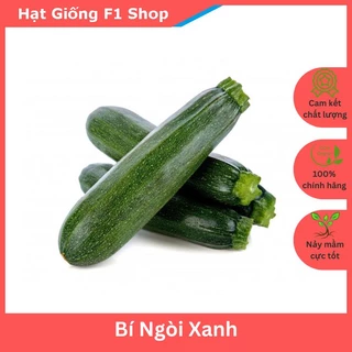 Hạt Giống Bí Ngòi Xanh Sai Trái