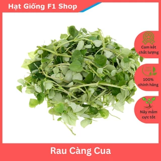 Hạt Giống Rau Càng Cua Giòn Ngon 0.5 Gam