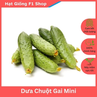 Hạt Giống Dưa Chuột Gai Mini Giòn Ngọt (110.F1)