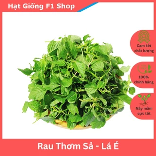 Hạt Giống Rau Thơm Sả (É Trắng) Dễ Trồng (2 Gam)