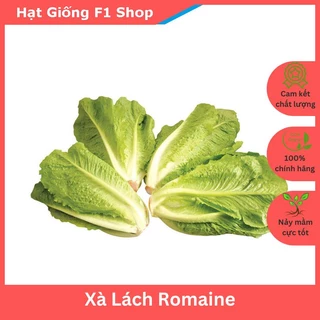 Hạt Giống Xà Lách Romaine Chịu Nhiệt Tốt (2 Gam)