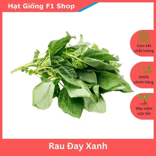 Hạt Giống Rau Đay Xanh Ngọt Thơm (10 Gam)