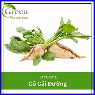 Hạt giống củ cải đường siêu ngọt (gói 20 hạt)