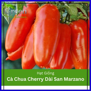 Hạt giống cà chua cherry trái dài San Marzano