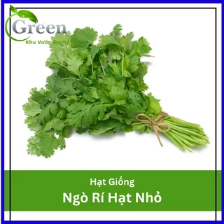 Hạt Giống Ngò Rí Hạt Nhỏ 20 Gam