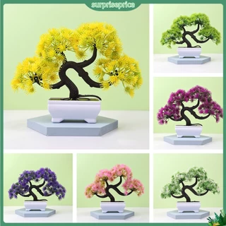 <surprise> Chậu Cây Bonsai Giả Trang Trí