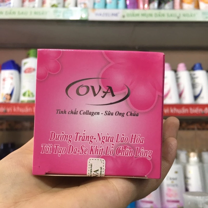 kem ova tinh chất collagen - sữa ong chúa 15g