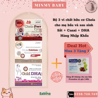 Combo vi chất mẹ bầu và sau sinh: Sắt Chela-Ferr Forte+Gold DHA+ Canxi Chela-Calcium D3-MINMY BABY