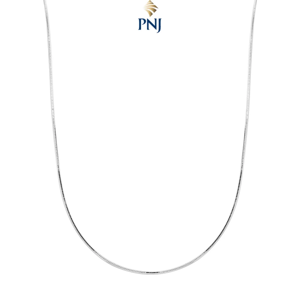 Dây chuyền bạc PNJSilver 0000W000011