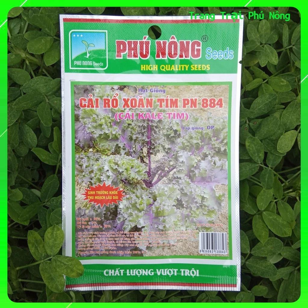 Hạt Giống Cải Rổ Xoăn ( Cải Kale) Tím Pn 884 Phú Nông - Gói 1g