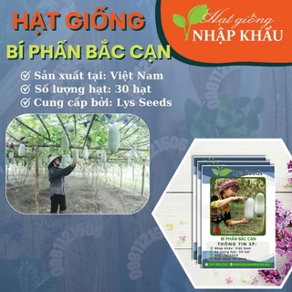 Hạt giống bí phấn Bắc Cạn. Xuất xứ: Việt Nam. 30 hạt/gói