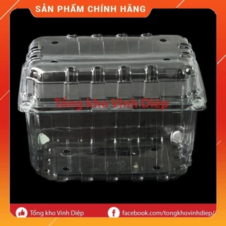 50 hộp nhựa đựng 500g, 1kg trái cây hoa quả có lỗ bấm, lỗ thoát khí P500B P1000B