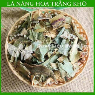 Lá Náng hoa trắng khô - u xơ tuyến tiền liệt