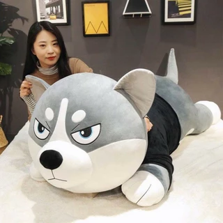 Gấu bông khổng lồ chó husky, Gấu bông chó husky siêu mềm mại, Gấu bông to chó ngáo siêu cute - G02