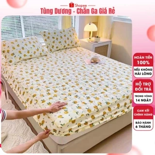 Set 3 món Ga gối cotton, ga trải giường trần bông coton đũi ga bo chun nhiều kích thước m6/m8/2m2