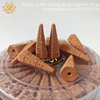 Nhang nụ đàn hương Ấn Độ Hộp Lớn 75 Nụ