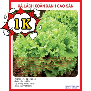 5Gr Hạt Giống Xà Lách Xoan Xanh