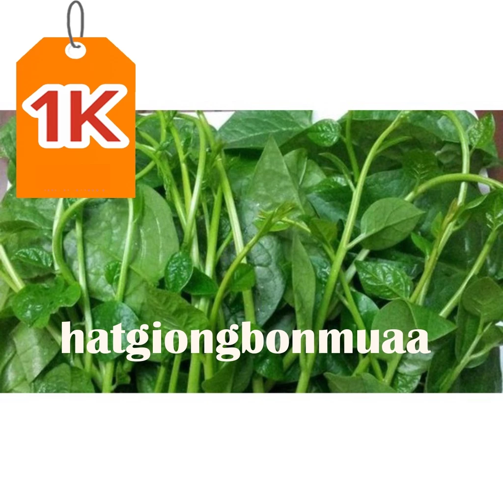 HAHG -  hạt giống rau mùng tơi 10 gram