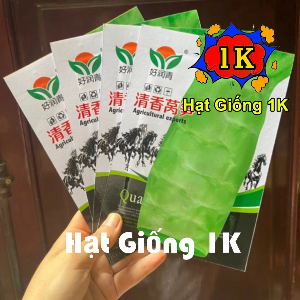 Hạt giống Rau Tiến Vua Xanh Nhập Khẩu - Gói 5 gram (3500 Hạt) - Nảy mầm 85%