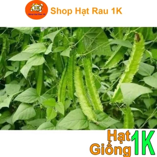 5 LẠNG ( 500GRAM) HẠT GIỐNG ĐẬU RỒNG ( ĐỖ KHẾ)