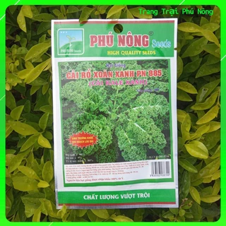 Hạt Giống Cải Rổ Xoăn Xanh (Cải Kale Xanh ) PN 885 - Gói 5g