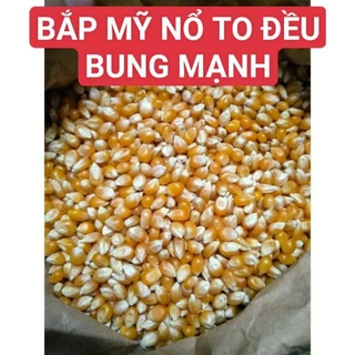 BẮP MỸ LÀM BẮP RANG BƠ LOẠI NỞ TO ĐẸP.(500G/1KG)