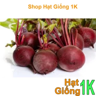 hạt giống củ dền đỏ gói 100 hạt