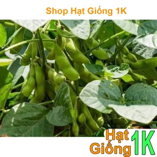 gói 1kg hạt giống đậu tương -đậu nành