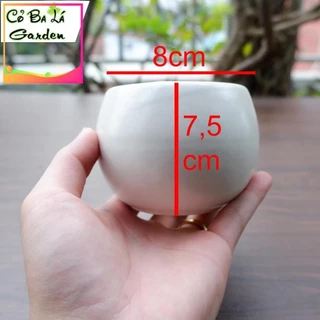 cc4 chậu sứ mini hình hạt dẻ