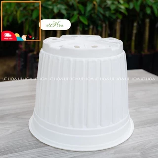 bb88 [Loại 1] Chậu nhựa trắng T26 (26x20 cm) trồng cây, trồng hoa Nhựa cao cấp