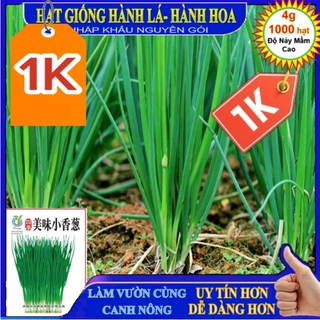 DEAL LỖ 1K - 1000 Hạt Giống cây hành hoa (Hành Lá) Cao Sản NGUYÊN GÓI NHẬP KHẨU- Tập làm vườn cùng CANH NÔNG