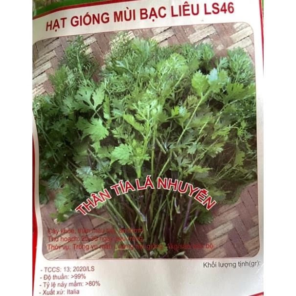 Hạt giống mùi Tía Bạc Liêu LS46 (20gr-túi zip)- Xuất xứ: Italia - xịn