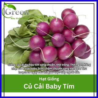 Hạt giống củ cải baby tím trồng chậu