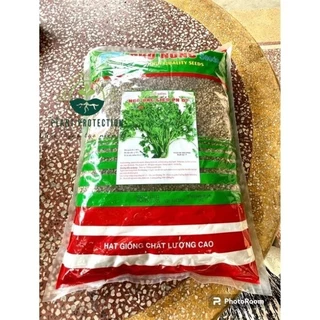 Hạt giống rau mùi - ngò Bạc Liêu (gói 1kg) Thân tía