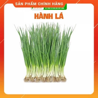 [DEAL 1K] Hạt giống Hành Hương chịu nhiệt, sinh trưởng mạnh, trồng quanh năm- H2T FARM