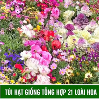 Gói hạt giống tổng hợp 21 loại hạt giống hoa dễ trồng trong 1 gói.