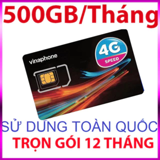 SIM 4G VINA VD149 12T KM 6GB/NGÀY VD89/g89 TẶNG 4GB/NGÀY trọn gói 1 năm - giảm giá sốc