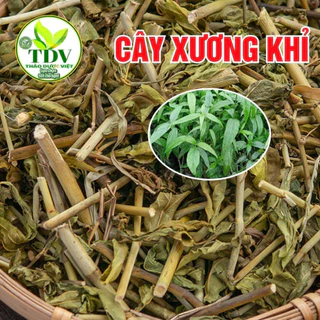 Cây Xương Khỉ (Cây Bìm Bịp) Loại 1 Thảo Dược Việt (Khô, Sạch, Thơm) -  Men Gan Cao, Đau Nhức Xương Khớp