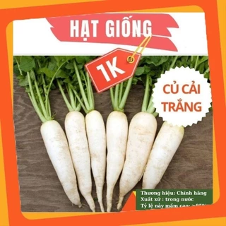 DEAL 1K Hạt giống rau củ cải trắng TÚI ZIP 60 HẠT VIETSEED