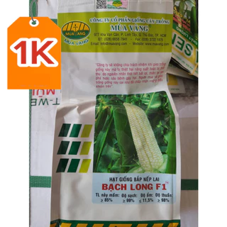 Hạt Giống Bắp Nếp lai F1 Mùa Vàng Bạch Long (Gói 500G)