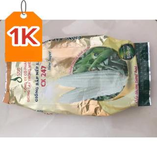 Hạt giống bắp nếp lai F1 CX 247 gói 500g